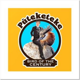 Puteketeke: Bird Of The Century Posters and Art